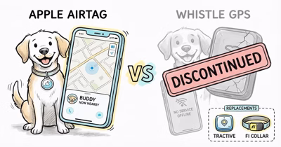 AirTag vs Whistle: Pet Tracker Comparison (Discontinued)