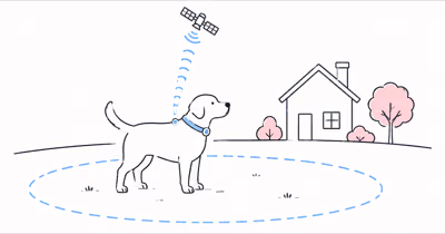 Best GPS Dog Fence 2026: SpotOn, Halo and PetSafe Compared