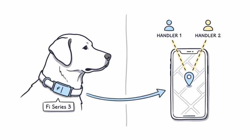 Fi Series 3 collar on service dog with arrow to phone map showing two handler accounts viewing the same location pin