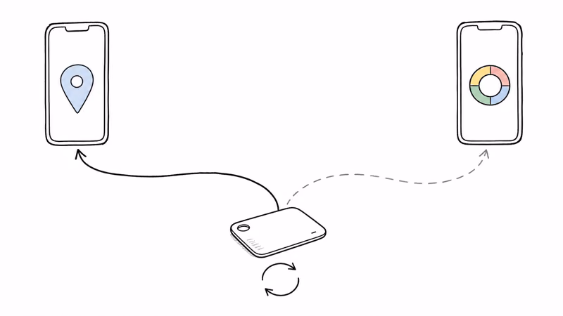 Wallet card on a forked path choosing one network, with the other branch dashed and inactive