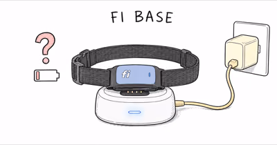 Fi Collar Not Charging? 7 Fixes for the Fi Base Light
