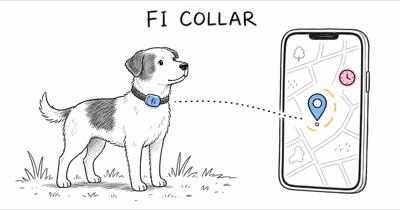 Fi Collar Not Updating Location? 7 Fixes That Work