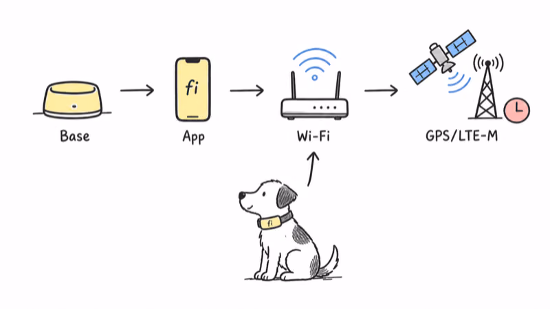 Diagram of a Fi collar handing off from Base and Wi-Fi to GPS and LTE-M outdoors