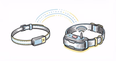 Fi vs Halo Smart Collar: Which GPS Dog Collar Is Worth It?