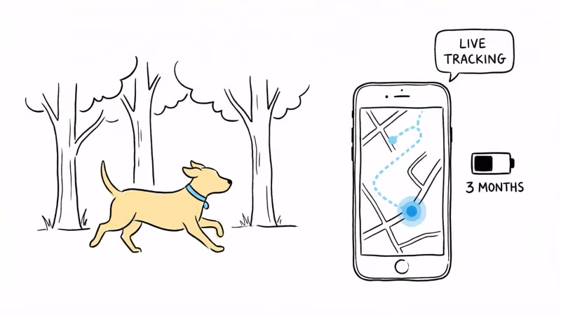 Dog with GPS collar showing live tracking map and battery life