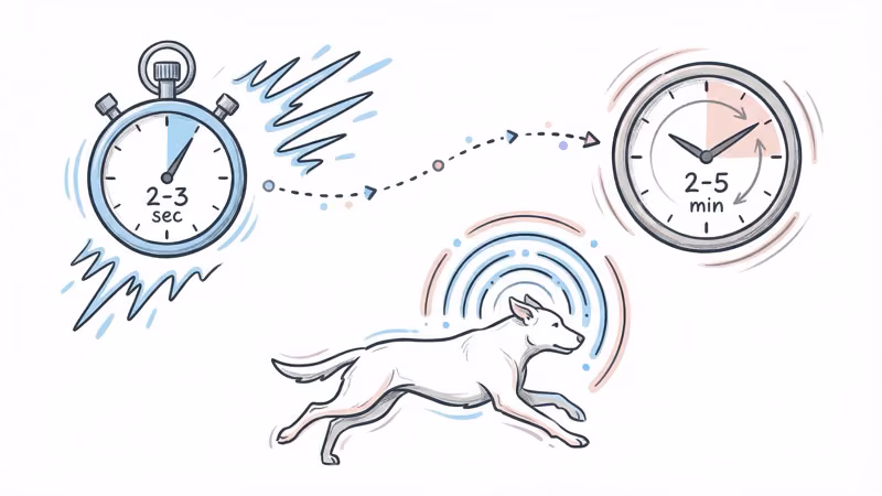 GPS update speed comparison showing Tractive 2-3 second updates vs FitBark 2-5 minute intervals
