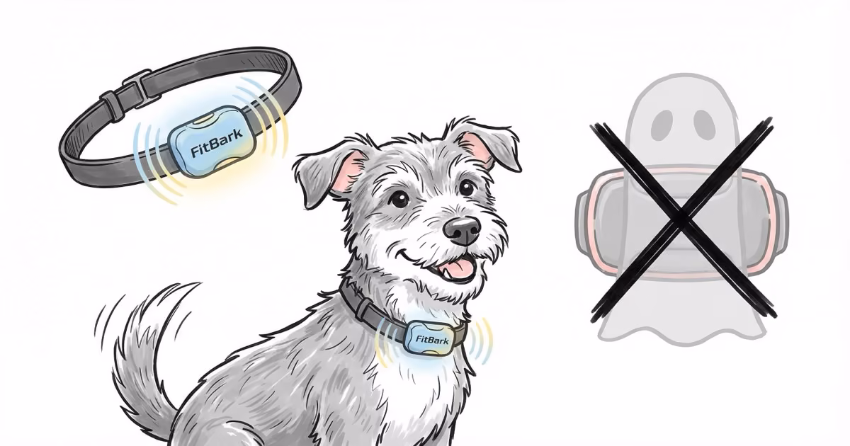 FitBark vs Whistle: Whistle Shut Down, So What Now?