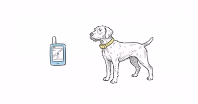 Garmin Alpha 10 Review: The Lightest Dog Tracking Handheld