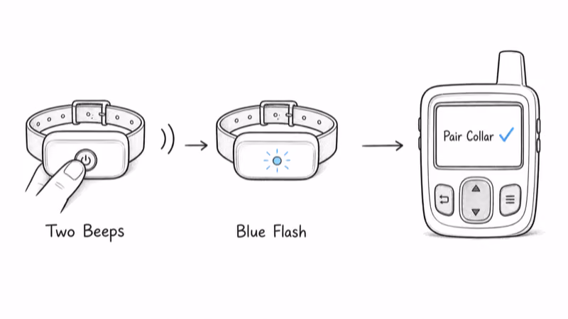 Garmin collar pairing sequence: hold for two beeps, blue flashing LED, then Pair Collar on the handheld