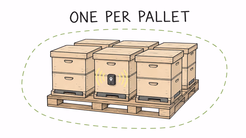 One GPS tracker hidden in one hive protects a whole pallet of beehives loaded for transport