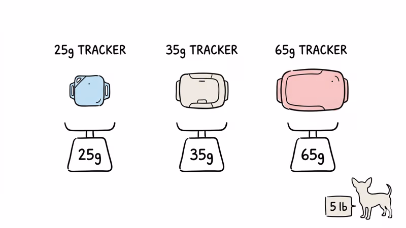 GPS tracker weight comparison chart showing device weights from 12g to 65g for small dog breeds