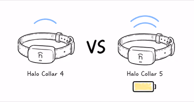 Halo Collar 4 vs Halo Collar 5: Is the Upgrade Worth It?