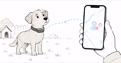 Halo Collar 5 Not Updating Location? 7 Fixes That Work