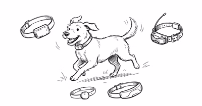 Best Halo Collar Alternatives for GPS Dog Tracking 2026