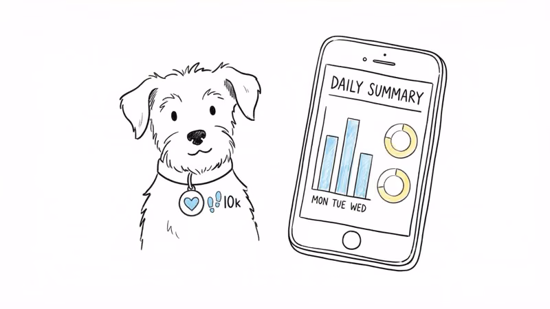 Dog wearing smart collar with health monitoring showing daily activity summary on phone app