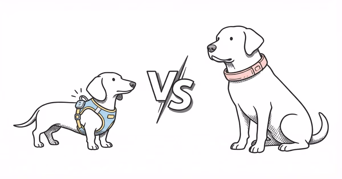 Jiobit vs Fi Dog GPS Tracker: Full Comparison for 2026