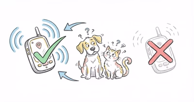 Jiobit vs Whistle: What to Use After Whistle Shut Down