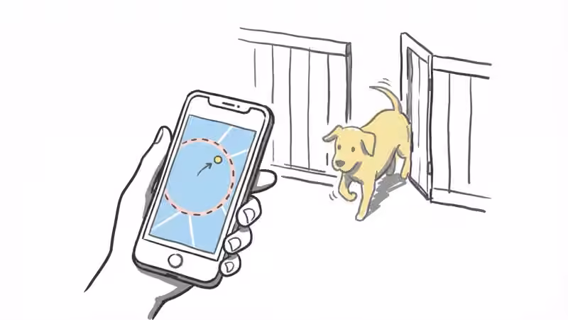 Tractive DOG 6 mini GPS tracker attached to a dog collar showing its compact size