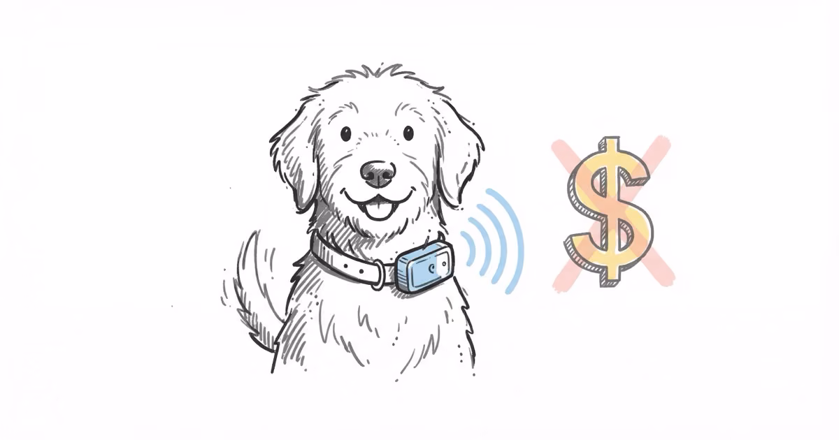 Pet GPS Trackers Without Monthly Fees: What Actually Works