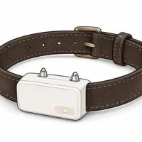 PetSafe Stay+Play