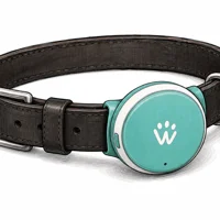 Whistle GO Explore (Discontinued)