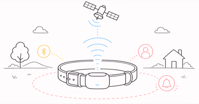 SatellAI Collar Review: Virtual Fence Without Wires