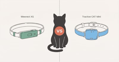 Weenect vs Tractive: Which Cat GPS Tracker Is Worth It?